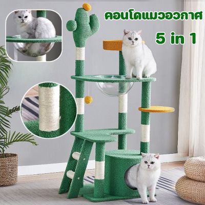 【Smilewil】คอนโดแมวไม้ 5 in 1 บ้านแมว แมวได้ สูง 55~155cm คอนโดแมวใหญ่ ของเล่นแมว