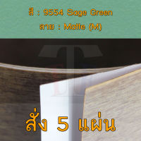 แผ่นโฟเมก้า แผ่นลามิเนต ยี่ห้อ TD Board สีเขียว รหัส 9554 Sage Green พื้นผิวลาย Matte (M) ขนาด 1220 x 2440 มม. หนา 0.70 มม. ใช้สำหรับงานตกแต่งภายใน งานปิดผิวเฟอร์นิเจอร์ ผนัง และอื่นๆ เพื่อเพิ่มความสวยงาม formica laminate 9554M