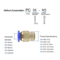 PC Air Pneumatic Parts 6 8 4mm Hose Tube 1/4 quot; 1/2 quot; 1/8 quot; 3/8 quot; Male Thread Air Pipe Connector Quick Coupling Brass Fitting