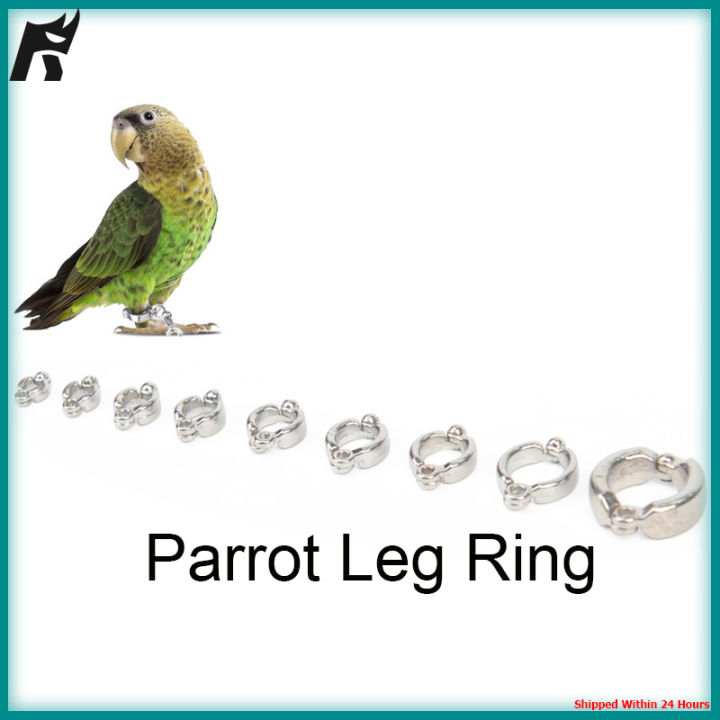 pet-bird-pigeon-parrot-leg-ring-chain-outdoor-flying-training-anti-fly-anti-lost-activity-opening-foot-ring-bird-accessories