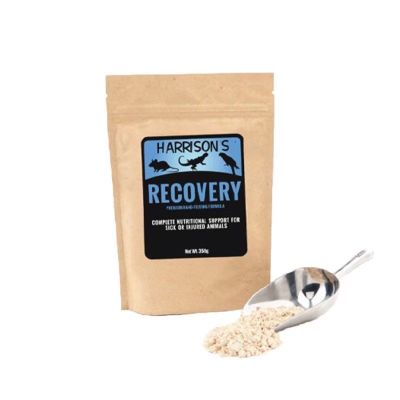 Harrison recovery 350 g