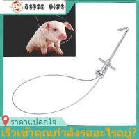 ที่ใส่หมู ตัวจับหมูสแตนเลสแบบปรับได้ เสาดัก Snare Farm อุปกรณ์ปศุสัตว์