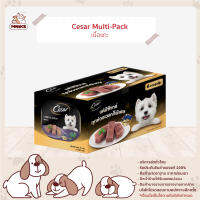 Cesar อาหารสุนัข ชนิดเปียก มัลติแพ็ค รสเนื้อแกะ ขนาด 100g. (MNIKS)