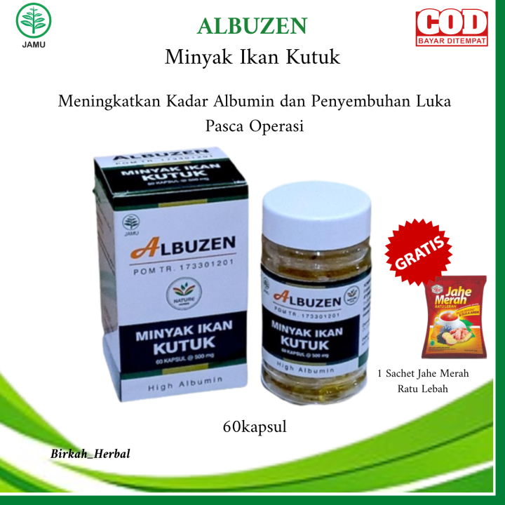 Albuzen Kapsul Minyak Ikan Gabus High Albumin Kapsul Ikan Kutuk ...