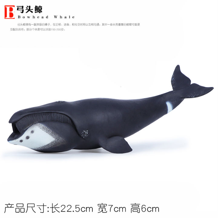 Simulation of marine life whale toy animal model large bowhead whale