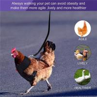 สายรัดอกไก่แบบปรับได้พร้อมสายจูง Breathable Hen Pet Vest with 3.6 Feet Matching Belt Outdoor Training Traction Rope for Pets Hen Duck Goose