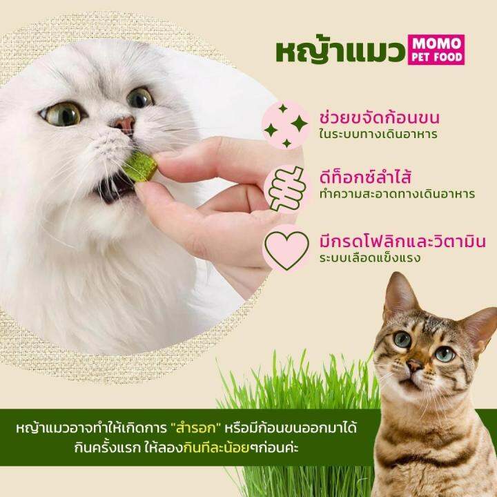 หญ้าแมวฟรีซดราย-หญ้าล้วน-และผสมไก่-ลดก้อนขน-มีวิตามิน-อัดเม็ด-ขนมสัตว์เลี้ยงหมาแมว-ทรีทแมว-ทรีทสุนัข-momopetsโมโมเพทส์จากต้นอ่อนข้าวสาลี