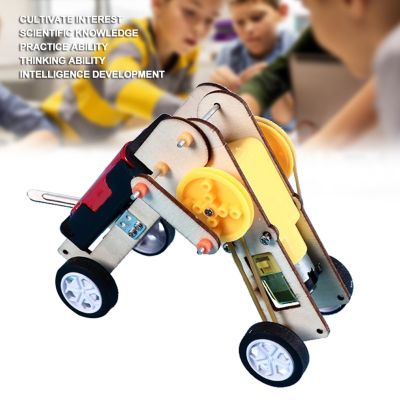 Dreamcradle Diy ชุดโมเดลหุ่นยนต์หนอนของเล่นเสริมการเรียนรู้วิทยาศาสตร์ DIY หุ่นยนต์คลานหุ่นยนต์รุ่นเด็กหุ่นยนต์รุ่นหนอนคลานหุ่นยนต์รุ่นการศึกษา DIY Robot