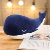 【CW】◄✲  1pc 25CM Cartoon Super Soft Sea Big Whale Stuffed Childrens birthday gift