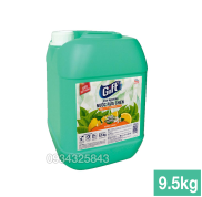 Nước rửa chén GIFT 9.5kg