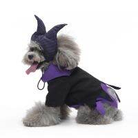 Funny Pet Dog Cat Halloween Costume Dog Magical Wizard Clothes Set Pet Dog Costumes for Small Dogs Cosplay Cat Accessories