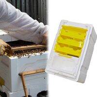 การเลี้ยงผึ้ง Beehive Queen Rearing Nuc Box Harvest การผสมเกสรผสมพันธุ์ Bees Box Reserve สำหรับ Beekeeper Suppiler