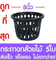 กระถางกล้วยไม้ กระถางต้นไม้ ขนาด 8 นิ้ว 5ใบ กระถางพลาสติก กล้วยไม้ กระถางกลม กระถางต้นไม้พลาสติก กระถางปลูกต้นไม้ กระถางดำ  Flower pot