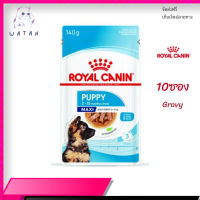 ?ส่งให้ด่วน ส่งฟรี[ยกกล่อง 10 ซอง] Royal Canin Maxi Puppy Pouch Gravy อาหารเปียกลูกสุนัข พันธุ์ใหญ่ อายุ 2-15 เดือน เก็บเงินปลายทาง ✨