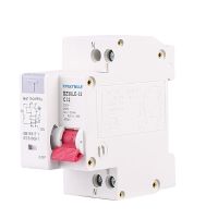 DZ30LE-32 1P N Residual current Circuit breaker with over and short current Leakage protection RCBO MCB