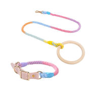 Dog Leash Set Log Handle Rainbow Gradient Color Pet Chain New Dog Leash Collar Set Pet Accessories