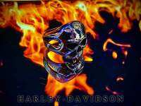 แหวนหัวกะโหลก Harley-Davidson แหวน แหวนกะโหลก แหวนหัวกะโหลก แหวนไบร์เกอร์ ไบร์เกอร์