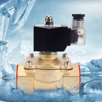 Normally closed brass solenoid valve Waterproof water valve  IP65 fully enclosed coil  G1/8"G3/8" AC220V DC12V DC24V Plumbing Valves