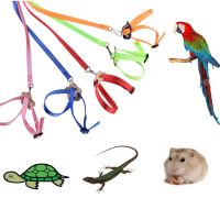 Adjustable Pet Parrot Traction Strap Anti-bite Training Rope Outdoor Rope Hamster Turtle Lizard Pet Leash Bird Collar Harness Leashes