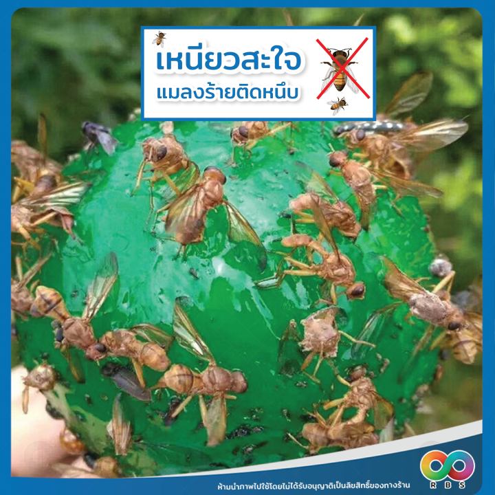 rbs-กาวดักแมลงวัน-ที่ดักแมลงวัน-ดักแมลงวัน-ที่ไล่แมลงวัน-ไล่แมลงวัน-เครื่องไล่แมลงวัน-ลูกบอลดักแมลง-ลูกบอลไล่แมลง-ทนฝน-ทนแดด