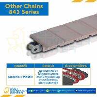 โซ่พลาสติกทางตรง Table Top Chain Series 843