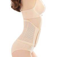 【LZ】♘✠☑  Mulheres malha respirável espartilho barriga cinto fino aço osso corpo shaper cinto cintura trainer bandagem shaperwear