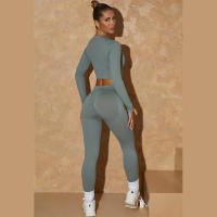 Seamless Yoga Set Women Sport Set Gym Clothing 2 Pcs Workout Sportswear Fitness Crop Top High Waist Leggings Sports Suits Women