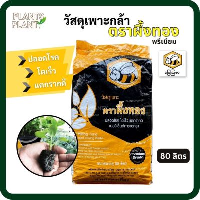 วัสดุเพาะกล้าผึ้งทองพรีเมียม ขนาด 80 ลิตร ดินเพาะกล้า วัสดุเพาะชำกล้าคุณภาพเยี่ยม วัสดุปลูก ตราผึ้งทอง