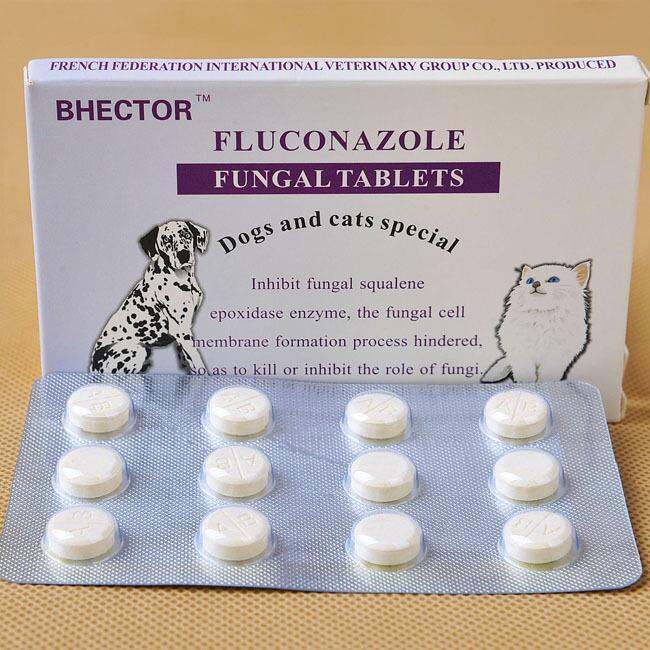 Blue Hefluconazole highefficiency antifungal tablets for dogs and cats