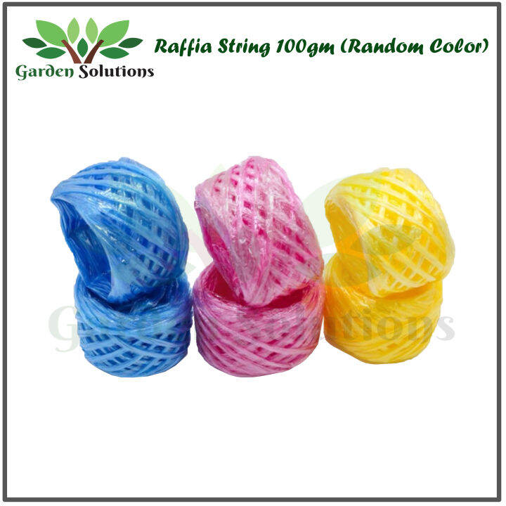 Raffia String 100gm Random Colour Tali Rafia Lazada