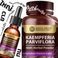 สารสกัดสมุนไพร กระชายดำ (ชุดเซ็ท น้ำ +ผง) Kaempferia parviflora (Black Ginger) Set