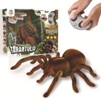 แมงมุมบังคับ หุ่นยนต์บังคับ Theraphosa spider tarantura spider ZF ของเล่นบังคับวิทยุไร้สาย ของเล่นเด็ก ของเล่น RC