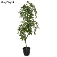 ไม้ประดิษฐ์ในกระถาง วางได้ทั้งในนอกอาคาร Umbrella tree สูง 23 ซม. Artificial potted plant, in/outdoor Umbrella tree, 23 cm