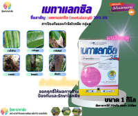 เมทาแลกซิล35 1กิโล ผงสีชมพู สารป้องกันและกำจัดโรคพืช กลุ่ม4 กำจัดเชื้อรา ออกฤทธิ์ให้ผลทางด้าน ป้องกันและรักษาโรคพืช