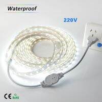 SMD 5050 AC220V LED Strip Flexible Light 60leds/m Waterproof Led Tape LED Light With Power Plug 1M/2M/3M/5M/6M/8M/9M/10M/15M/20M