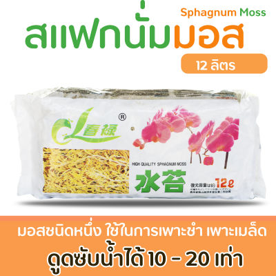 สแฟกนั่มมอส 12 ลิตร Sphagnum Moss วัสดุปลูกพรีเมี่ยม นำเข้า ใช้เพาะชำ ผสมดินปลูก รากเดินเร็ว