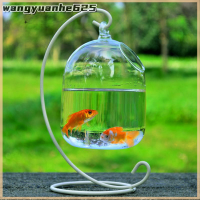 [WYH Store] COD Hydroponic Wall Hanging Bubble Aquarium แก้วปลา DIY กระถางต้นไม้ตกแต่งบ้าน