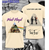 Pink Floyd Triangle Graphic T-Shirt