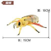 หุ่นแมลงขนาดจิ๋ว12นิ้วรุ่นใหม่ (มีสไตล์) แมลงจำลอง Mainan Binatang Kecil มดแมลงแมงป่องจิ้งหรีด