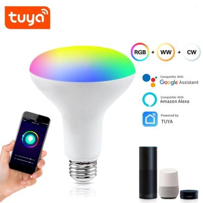 【CW】 After You Tuya WifiBulbBR30Refect RGBCW Dimmable Lamp GoogleAlexaControlLampara