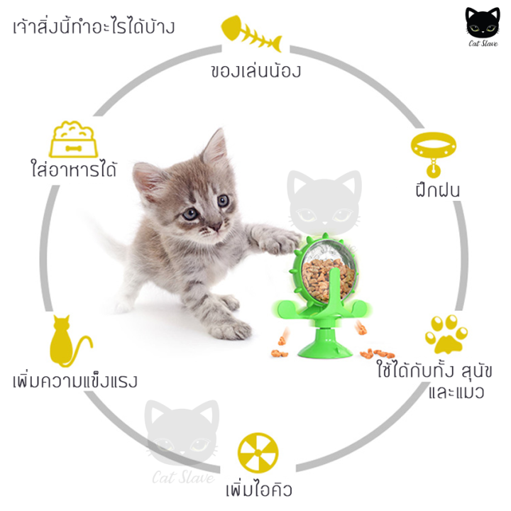 ของเล่นฝึกทักษะแมว-ของเล่นสัตว์-ของเล่นสุนัข-ของเล่นแมว-ของเล่นแมวถูกๆ-ของเล่น-ที่ให้อาหาร-แมว-หมา-ของเล่นสัตว์เลี้ยง