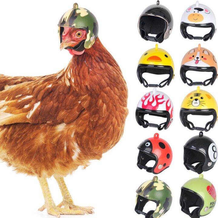 หมวกกันน๊อคสัตว์ปีก-หมวกกันน๊อคไก่-หมวกกันน๊อคนก-หมวกไก่-helmet-bird