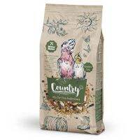 คันทรี กระตั๊ว Country large parakeet 550G