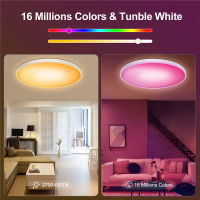 30W LED Ceiling Lamp Smart WIFI Ceiling Lighting For Living Room Bedroom RGB DIY Color Ceiling Lamp With Micr Home