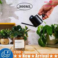 300ML Watering Can For Indoor Plants Flower Watering Can Stainless Steel Long-Stem Spout Small Watering Kettle