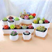 （HOT) ชุดกระถางดอกไม้ขนาดเล็กพิเศษสำหรับ succulents เซรามิกความคิดสร้างสรรค์บุคลิกภาพน่ารักพร้อมถาดอ่างพอร์ซเลนกองสี่เหลี่ยมเก่า