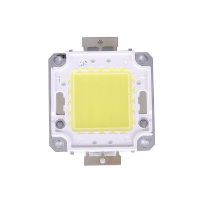 Rayua ชิพหลอดไฟ Led Dc ไฟ Led 1Pc Cob บนบอร์ด10W 20W 30W 50W 70W 100W 2สี