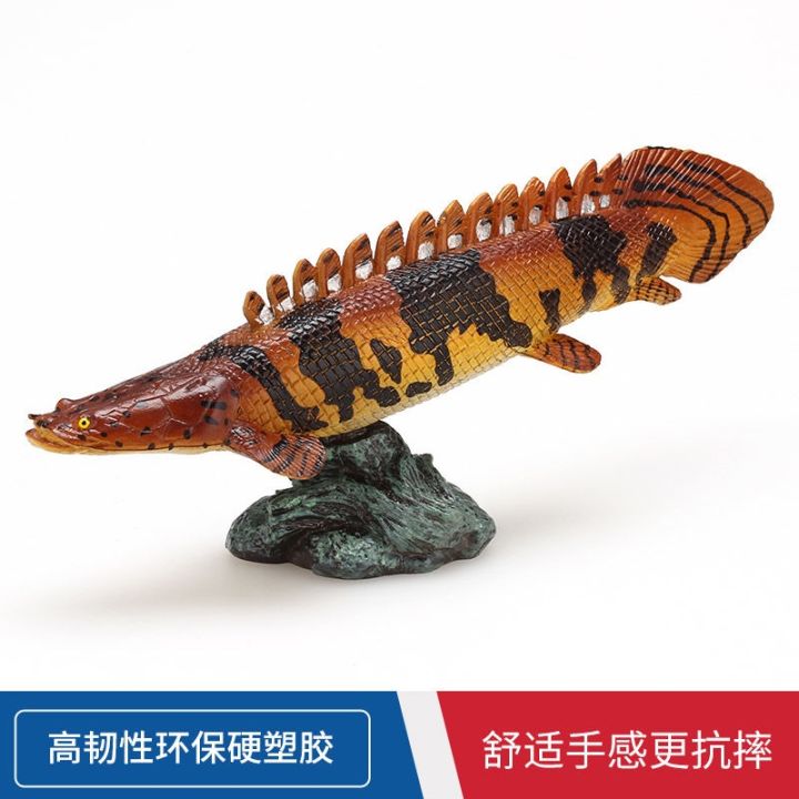 solid-simulation-animal-model-toy-watch-the-golden-arowana-brocade-carp-alligator-gar-dinosaur-giant-arapaima-fish-aquarium-furnishing-articles