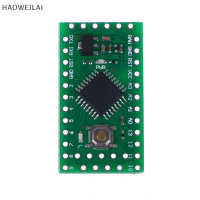 [HAOWEILAI] LGT8F328P LQFP32 minievb แทนที่ PRO MINI ATMEGA328P เข้ากันได้กับการใช้โปรแกรมควบคุม HT42B534-1ของ Arduino