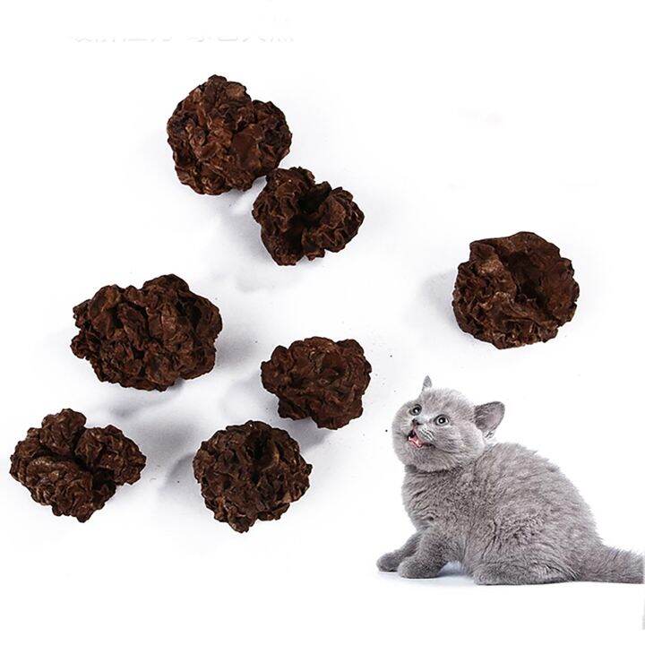 cat-amp-kitten-teething-toys-silvervine-gall-fruit-sticks-for-cats-interactive-cat-toy-for-aggressive-chew-toys